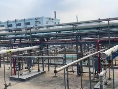 بكتيريا إزالة نيتروجين الأمونيا (ذاتية التغذية)