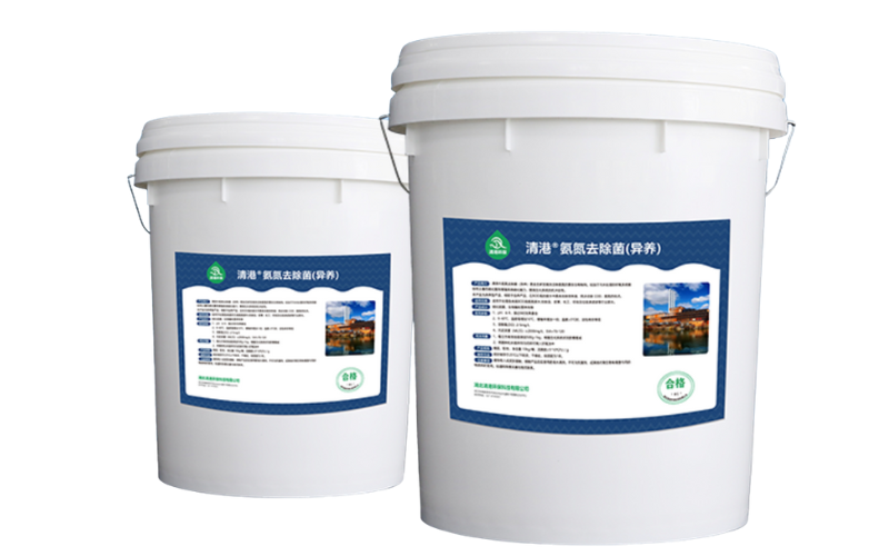 بكتيريا إزالة نيتروجين الأمونيا (غيرية التغذية)