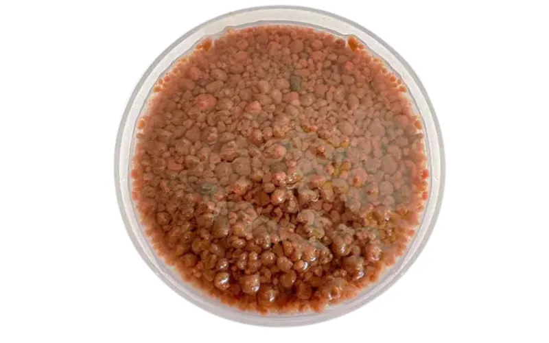 منشط بيولوجي لاهوائي