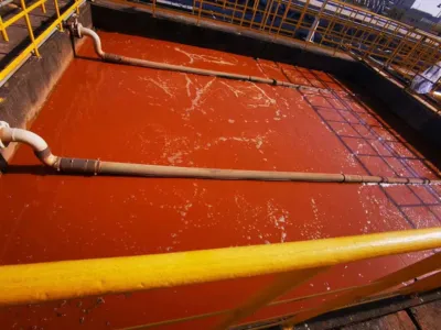 مغذي تنشيط البكتيريا