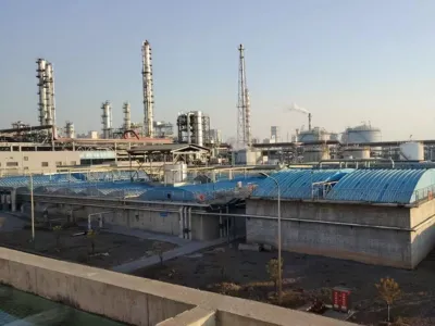 بكتيريا إزالة الطلب الكيميائي على الأكسجين (هوائية)