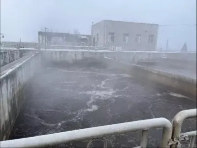 بكتيريا إزالة الطلب الكيميائي على الأكسجين (لاهوائية)