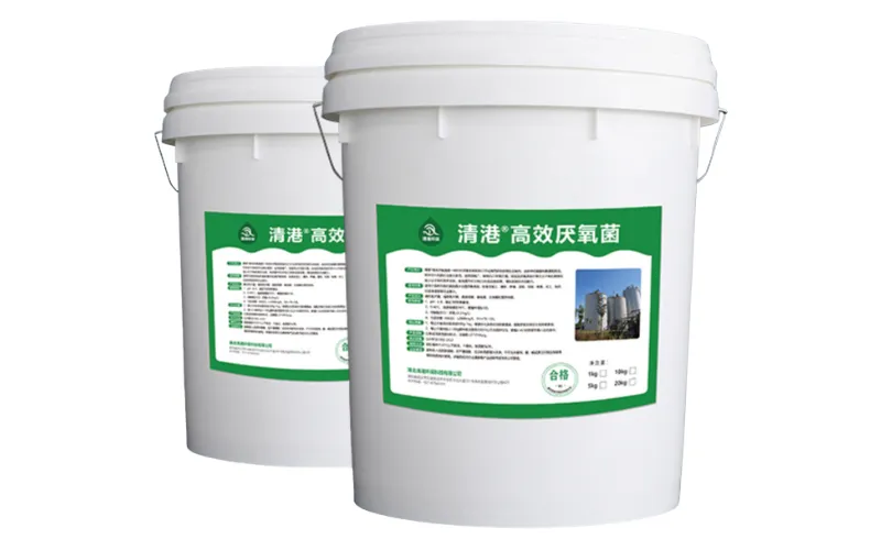 بكتيريا لاهوائية عالية الكفاءة