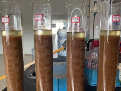 بكتيريا إزالة النيتروجين الكلي