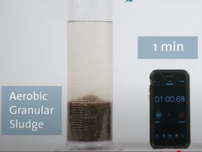 بكتيريا إزالة الروائح البيولوجية