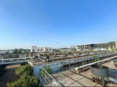 بكتيريا التحلل الحمضي