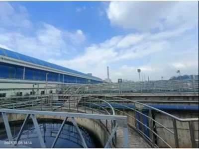 بكتيريا التحلل الحمضي